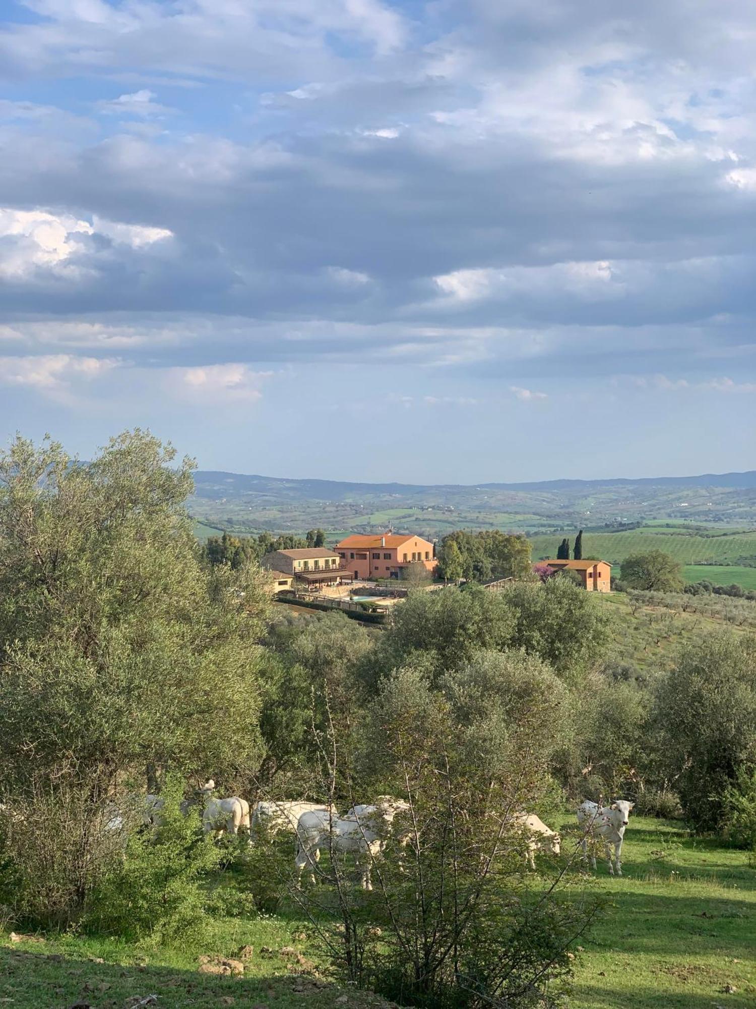 Fattoria Tolomei Campagnatico Екстер'єр фото